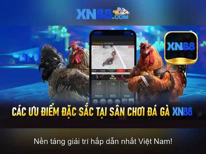 Ưu Đãi Hấp Dẫn