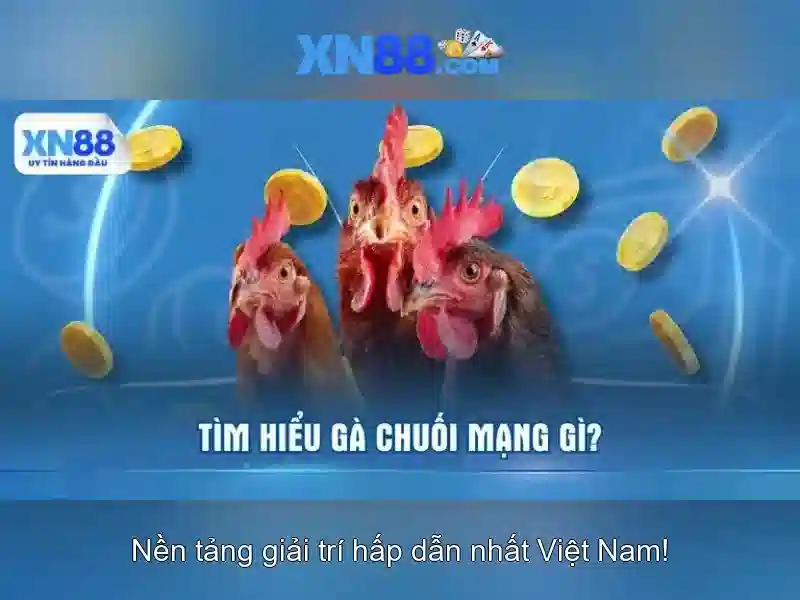 Nhà Cái XN88